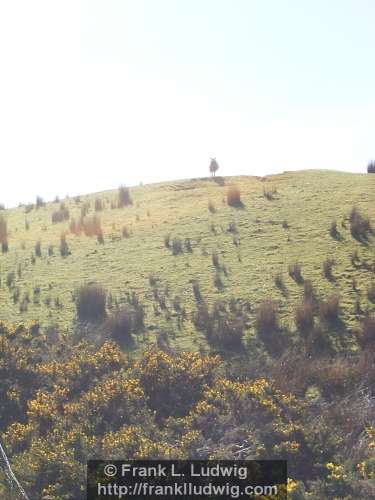 Ox Mountains, County Sligo and County Mayo